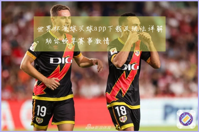 世界杯滚球买球app下载及玩法详解，助你畅享赛事激情