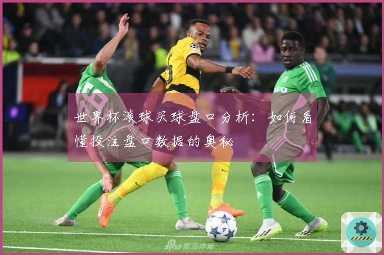 世界杯滚球买球盘口分析：如何看懂投注盘口数据的奥秘
