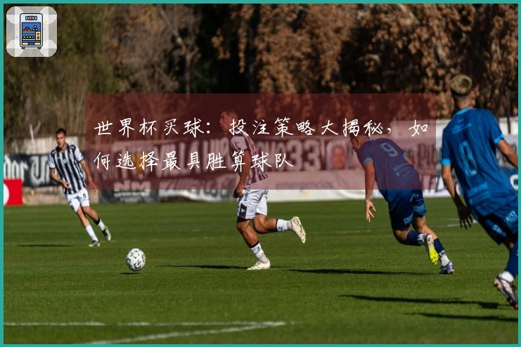 世界杯买球：投注策略大揭秘，如何选择最具胜算球队