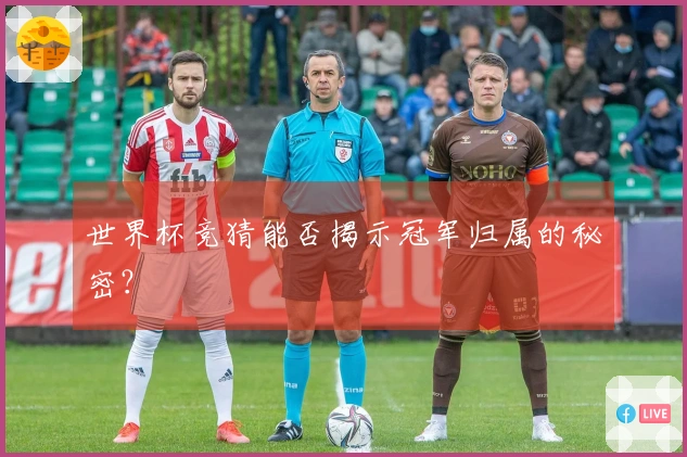 世界杯竞猜能否揭示冠军归属的秘密？