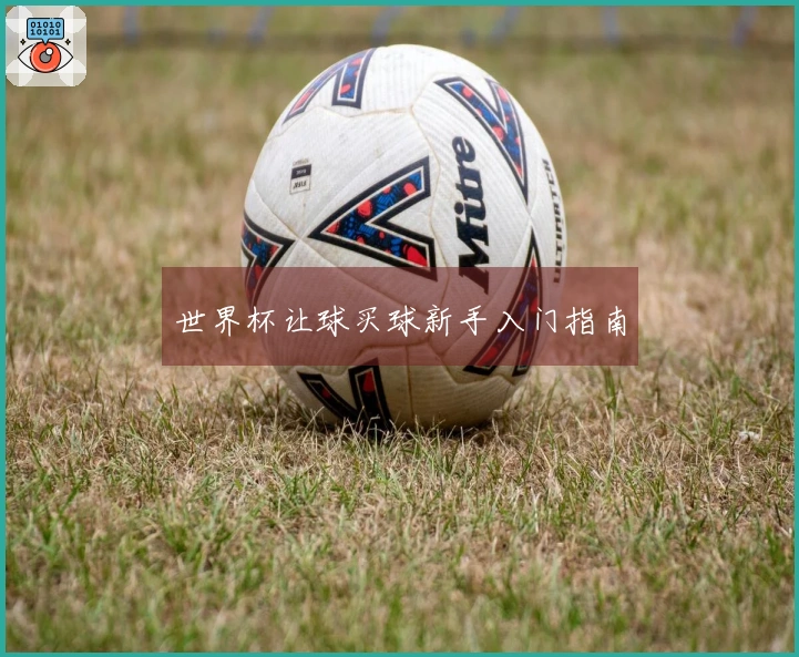 世界杯让球买球新手入门指南