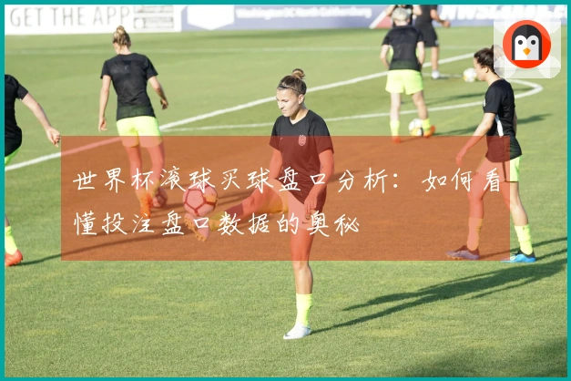 世界杯滚球买球盘口分析：如何看懂投注盘口数据的奥秘
