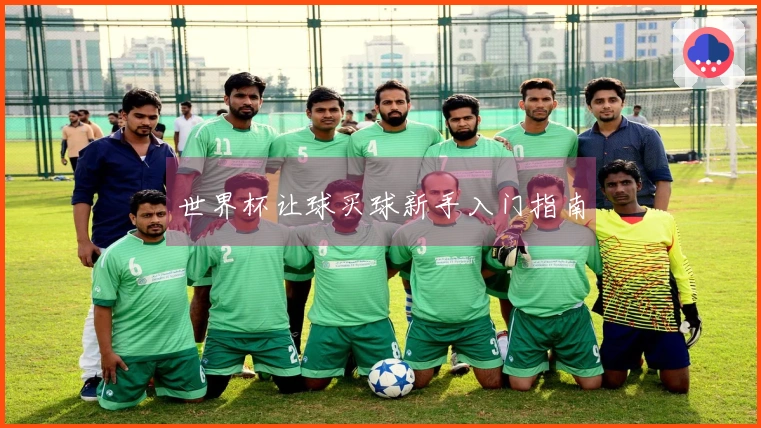 世界杯让球买球新手入门指南