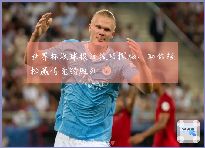 世界杯滚球投注技巧探秘，助你轻松赢得竞猜胜利